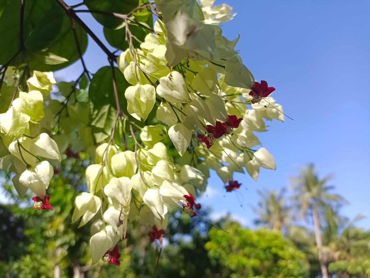 Valentina Resort & Spa Phú Quốc Eksteriør billede